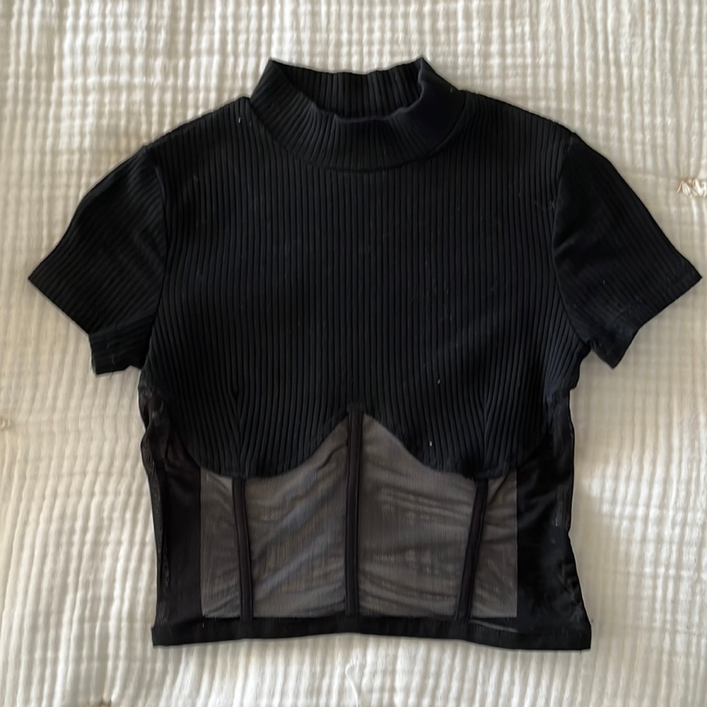 Sheer Bodice Crop Top
